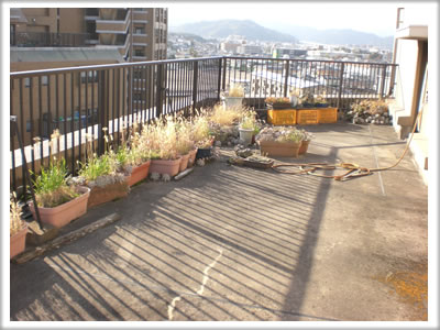 【便利屋】暮らしなんでもお助け隊 福岡小笹店　ベランダ植木鉢片付け施工前