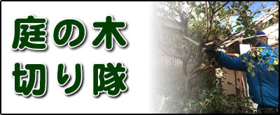 【便利屋】暮らしなんでもお助け隊 福岡小笹店にて何でも屋・便利屋サービス「庭の木切り隊」は、遠く離れた福岡のご実家が空き家となり、お庭でボウボウに伸びた庭木の伐採、庭木の剪定を行っています。さらに庭にある倉庫の片付けなども行っています。その他、福岡のご実家・ご両親の心配事・お困り事何でも解決しています。ご相談ください。